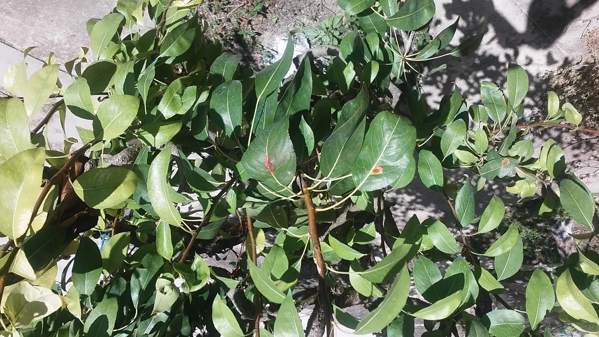 1 - 20200819_171002